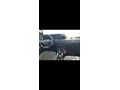 Sahibinden Ford Tourneo Courier 1.5 EcoBlue Titanium 2024 Model