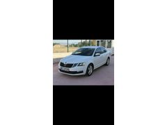 Sahibinden Skoda Octavia 1.6 TDI Optimal 2019 Model