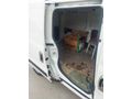 ACİL TEMİZ EKMEK TEKNESİ