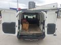 ACİL TEMİZ EKMEK TEKNESİ