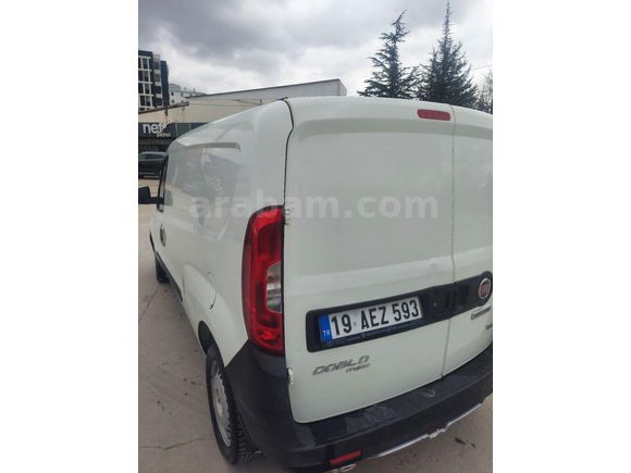 ACİL TEMİZ EKMEK TEKNESİ