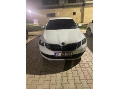 Sahibinden Skoda Octavia 1.6 TDI Optimal 2019 Model 