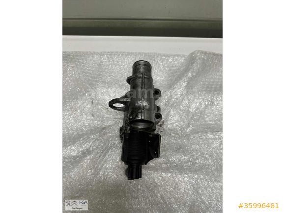 KANGOO EGR