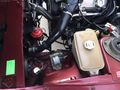 AUTO/İSMAİL'DEN/DOGAN/MASRAFSIZ/KURULU/DÜZEN