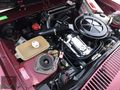 AUTO/İSMAİL'DEN/DOGAN/MASRAFSIZ/KURULU/DÜZEN