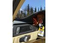 ACİLL Sahibinden BMW 3 Serisi 320d Comfort 2011 Model 