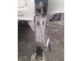 2013 MODEL 20 LİK TIRSAM BP DINGIL DISK FREN