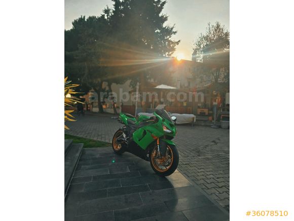 とも XSIDE Bisiklet Yaka Tom & Jerry Baskılı Kadın Tişört - S56733Z8