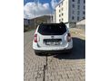 Dusterin  4x2 110 luk