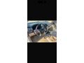 Sahibinden Chevrolet Captiva 2.0 D LT High 2011 Model  
