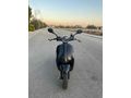 Sahibinden Kuba Blueberry 