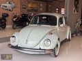 My GARAGE/1974 VW 1303s