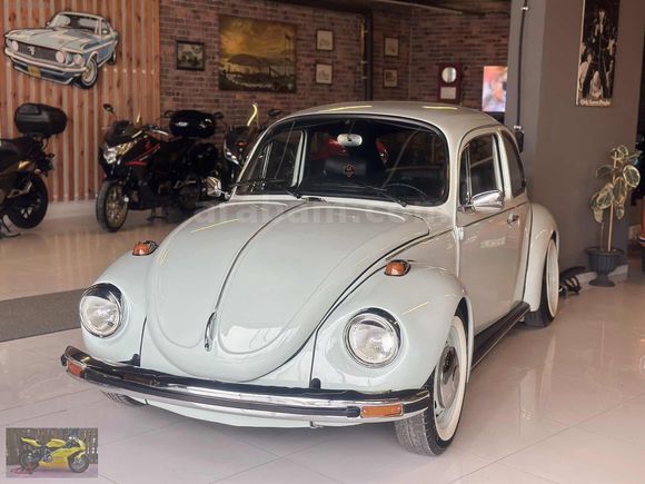 My GARAGE/1974 VW 1303s