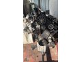 Crafter 20 CKU motor Full dolu çıkma