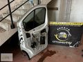 Renault Trafic 3-4 Sağ Ön Kapı Hatasız Dolu