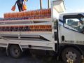 Sahibinden Mitsubishi FE 515