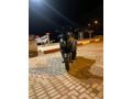 Sahibinden Yamaha X-Max 250 Tech Max