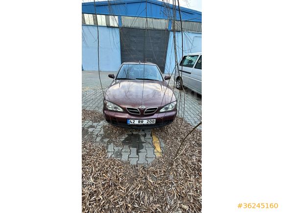 Sahibinden Nissan Primera 1.6 Comfort 2001 Model  290.000 km Bordo