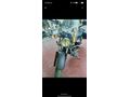 Sahibinden Kuba Superlight 125