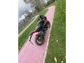 Sahibinden Bajaj Pulsar 200 RS CG FİYATINA