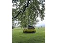 Sahibinden Volkswagen T3 
