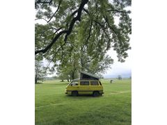 Sahibinden Volkswagen T3 