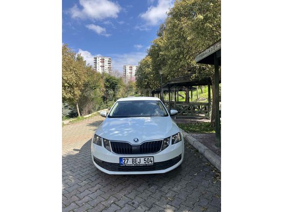 Sahibinden Skoda Octavia 1.6 TDI Optimal 2019 Model 