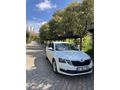Sahibinden Skoda Octavia 1.6 TDI Optimal 2019 Model 