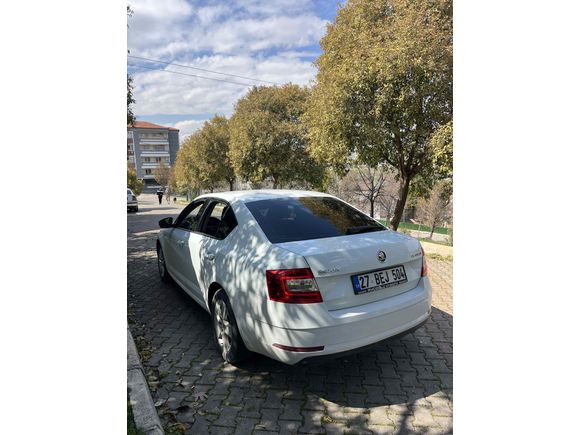 Sahibinden Skoda Octavia 1.6 TDI Optimal 2019 Model 