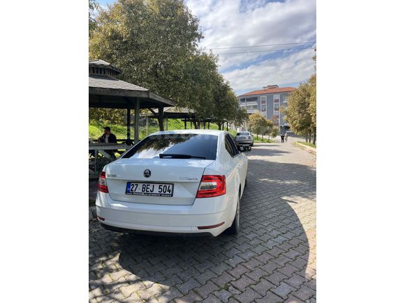 Sahibinden Skoda Octavia 1.6 TDI Optimal 2019 Model 