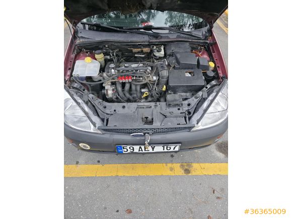 Sahibinden Ford Focus 1.6 Ambiente 2001 Model Tekirdağ