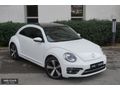 VOLKSWAGEN BEETLE MOTOR VE ŞANZIMAN PARÇALARI