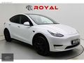 ROYAL GARAGE'DAN İLK EL TESLA STANDARD RANGE BOYASIZ KOMPLE PPF