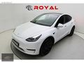 ROYAL GARAGE'DAN İLK EL TESLA STANDARD RANGE BOYASIZ KOMPLE PPF