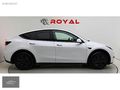 ROYAL GARAGE'DAN İLK EL TESLA STANDARD RANGE BOYASIZ KOMPLE PPF