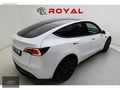 ROYAL GARAGE'DAN İLK EL TESLA STANDARD RANGE BOYASIZ KOMPLE PPF