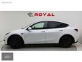 ROYAL GARAGE'DAN İLK EL TESLA STANDARD RANGE BOYASIZ KOMPLE PPF
