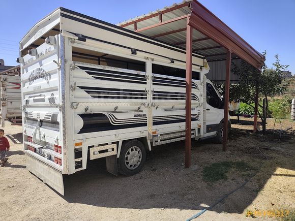 Ford transit 350 L şerit takip çarpışma önleme zenon farlı