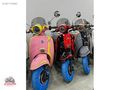 FALCON TURTLE 50CC 2025M ÇAKIR MOTORS