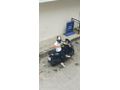 Sahibinden Yamaha NMax 155