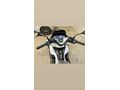 Yeni kasa 
Sahibinden Honda PCX 125 İzmir