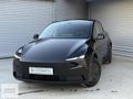 BH OTOMOTİV GELİŞTİRİLMİŞ OTO PİLOT- MODEL Y 2025