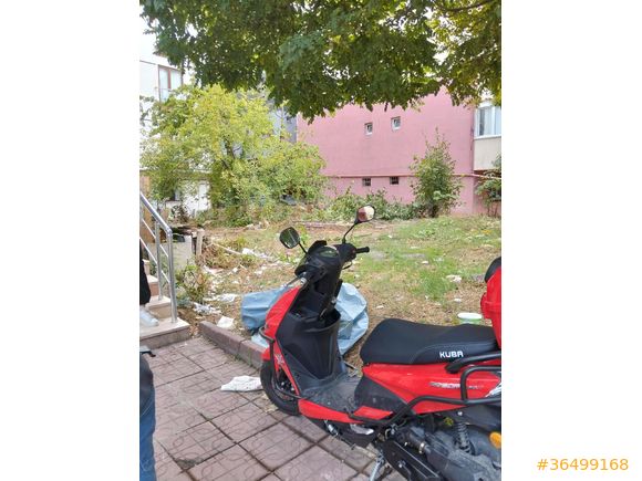 Sahibinden Kuba Pesaro 50 X
