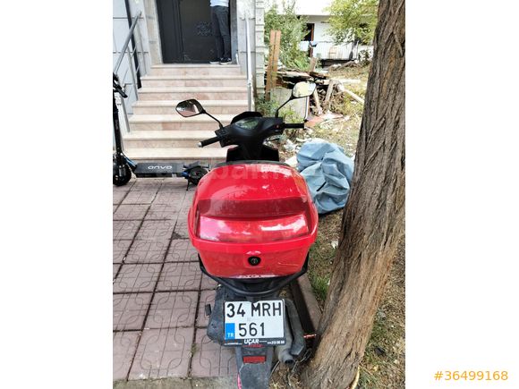 Sahibinden Kuba Pesaro 50 X
