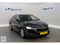 "CARPARTNER" 2024 MODEL OCTAVİA PREMİUM 1.5 E -TEC 150 HP