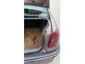 Sahibinden Opel Astra 1.6 GLS 1998 Model