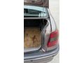 Sahibinden Opel Astra 1.6 GLS 1998 Model