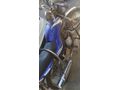 Sahibinden Yamaha YBR 125 İzmir