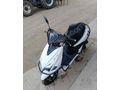 Sahibinden Kuba Pesaro 50 X 