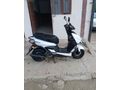 Sahibinden Kuba Pesaro 50 X 